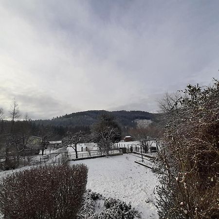 Chez Vovone 3 Etoiles Clevacances Saulxures-sur-Moselotte Exterior photo