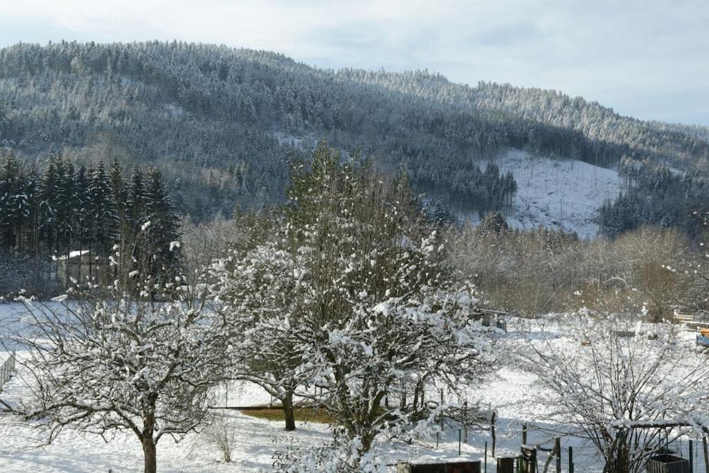 Chez Vovone 3 Etoiles Clevacances Saulxures-sur-Moselotte Exterior photo