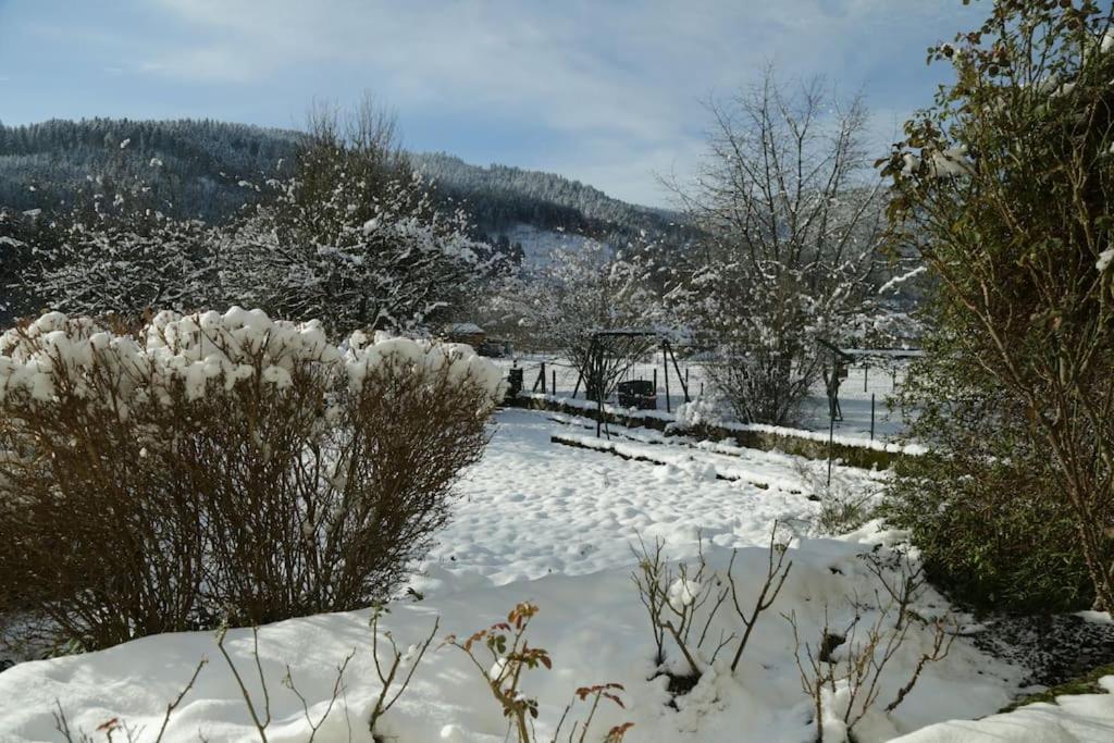Chez Vovone 3 Etoiles Clevacances Saulxures-sur-Moselotte Exterior photo