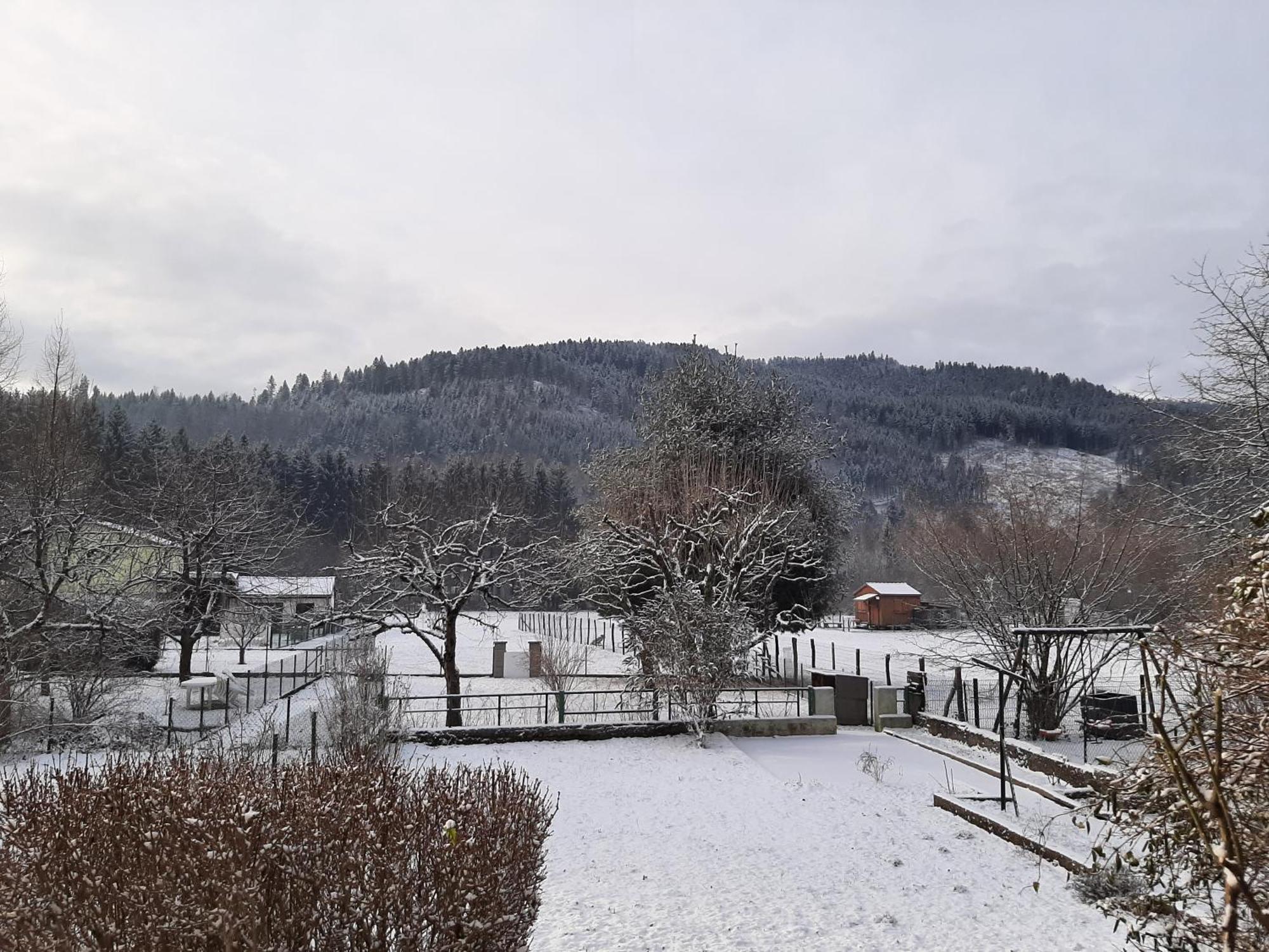 Chez Vovone 3 Etoiles Clevacances Saulxures-sur-Moselotte Exterior photo