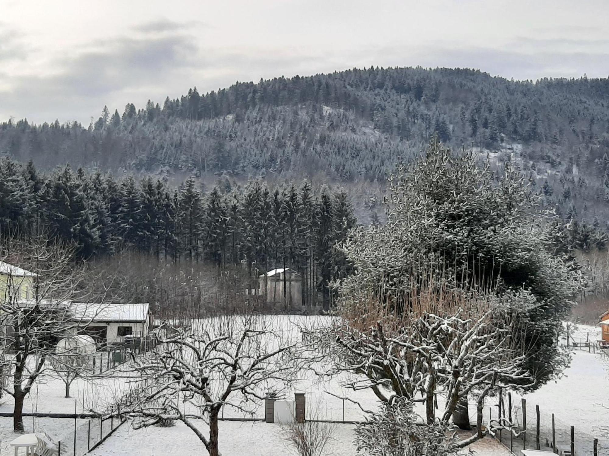 Chez Vovone 3 Etoiles Clevacances Saulxures-sur-Moselotte Exterior photo