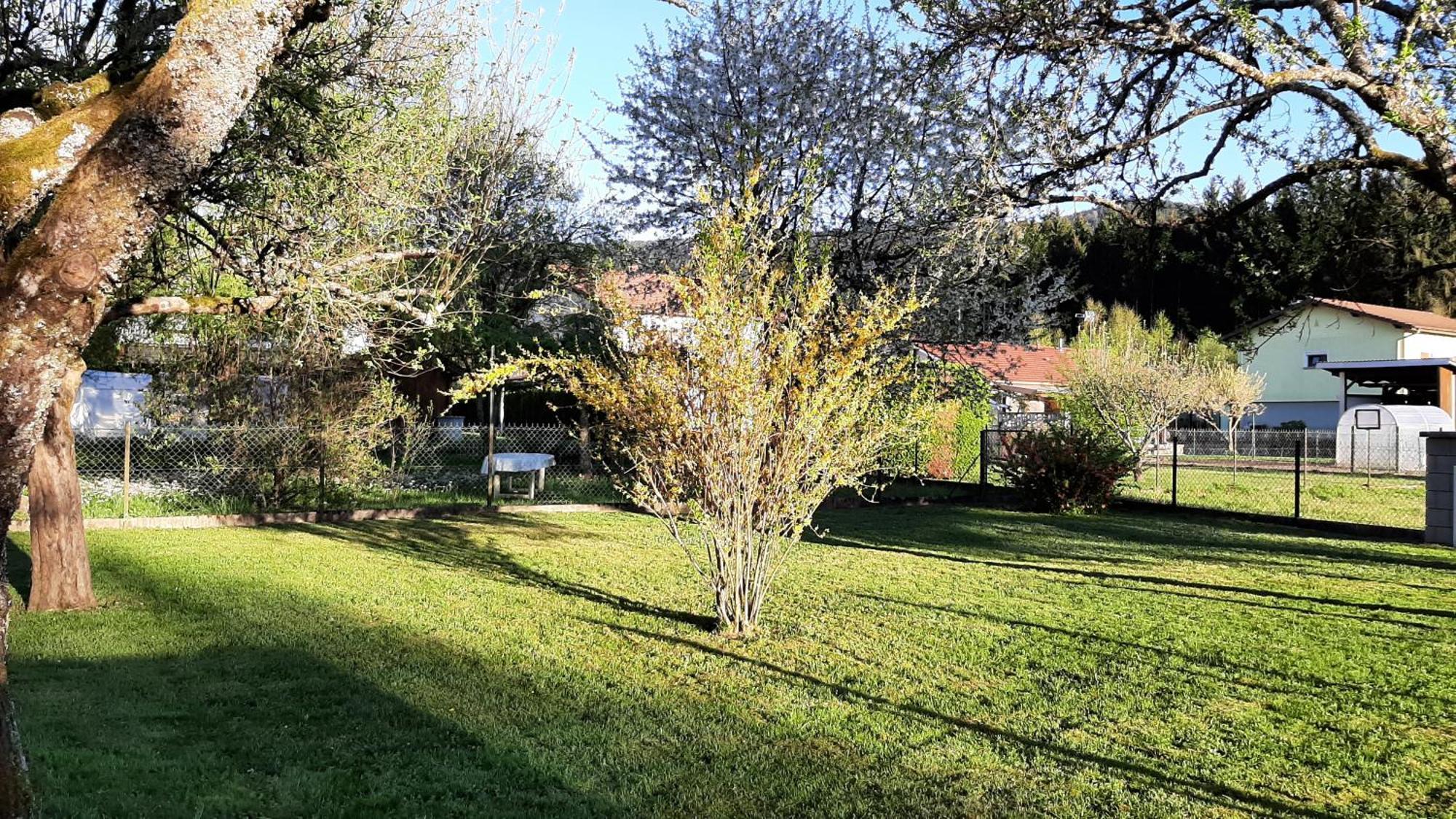 Chez Vovone 3 Etoiles Clevacances Saulxures-sur-Moselotte Exterior photo