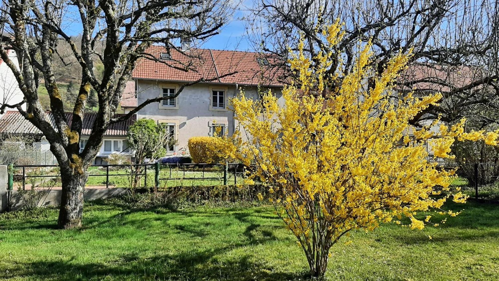 Chez Vovone 3 Etoiles Clevacances Saulxures-sur-Moselotte Exterior photo