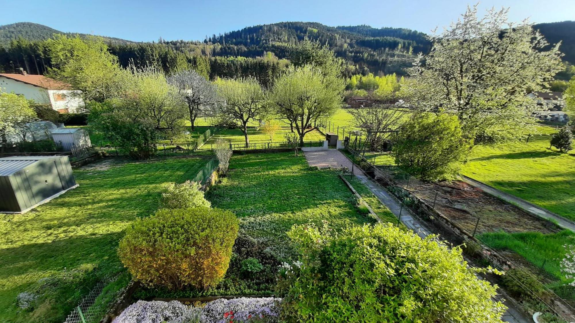 Chez Vovone 3 Etoiles Clevacances Saulxures-sur-Moselotte Exterior photo